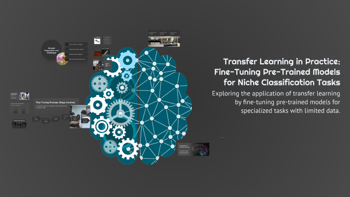 Transfer Learning in Practice: Fine-Tuning Pre-Trained Models for Niche ...