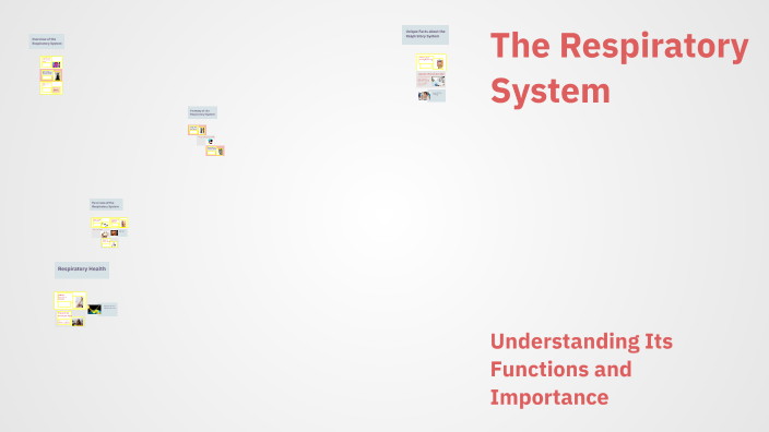 The Respiratory System by Brogan Martin on Prezi