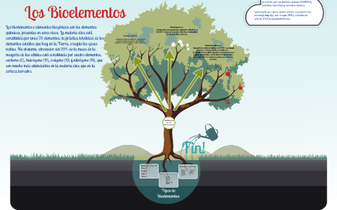 Los Bioelementos by Greisy Santana on Prezi