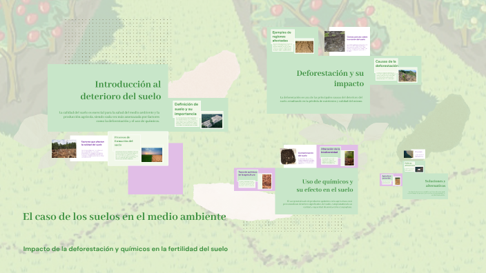 El caso de los suelos en el medio ambiente by AKIIPU on Prezi