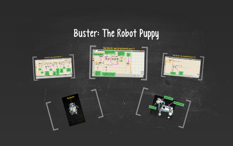 Buster: The Robot Puppy by Derek Slayton on Prezi