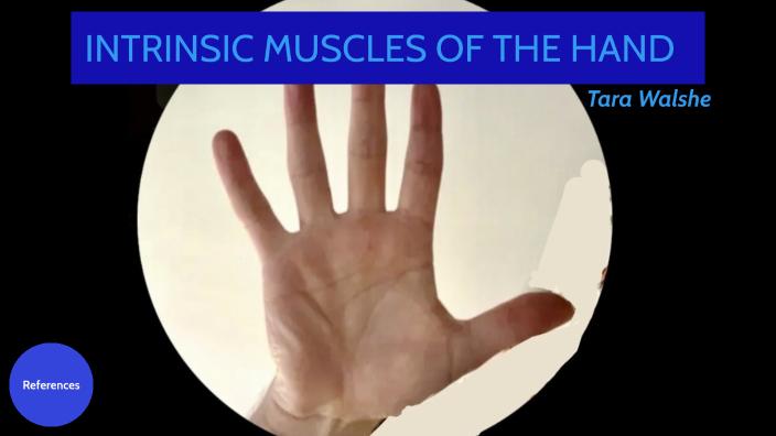 INTRINSIC MUSCLES OF THE HAND by Tara Walshe on Prezi Biology Diagrams