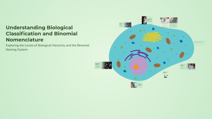Understanding Biological Classification and Binomial Nomenclature by ...