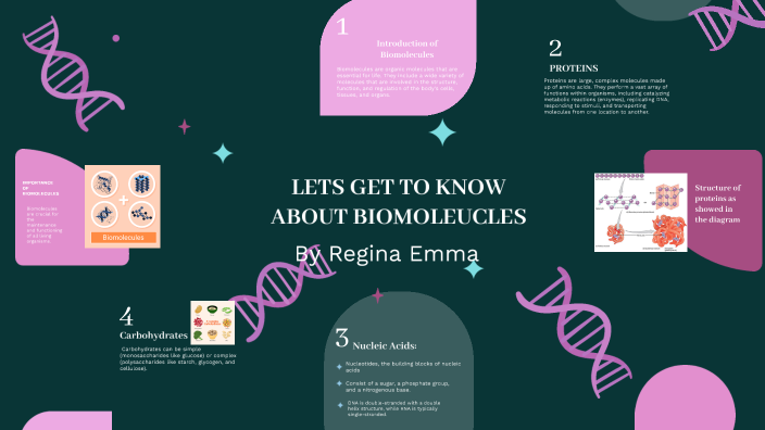 structures and functions of biomolecules by REGINA EMMA YOUAIL on Prezi
