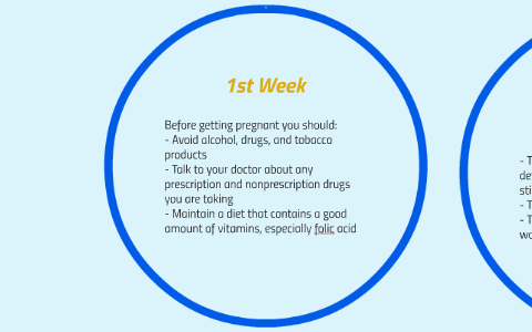 40 Week Pregnancy Timeline by Ben Dunn
