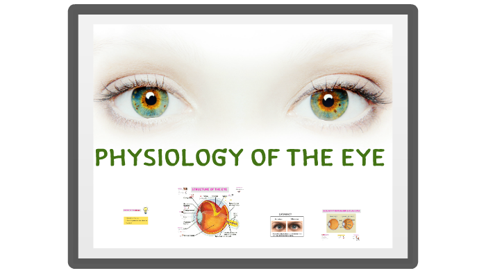 physiology of the eye by asmaa ali on Prezi