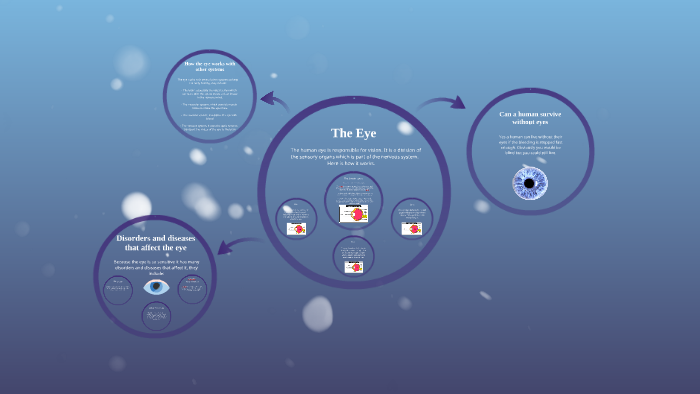 The Human Eye by on Prezi