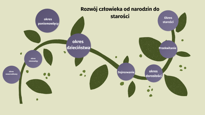 Etapy Zycia Czlowieka Od Narodzin Do Starosci Rozwój człowieka od narodzin do starości by Stachuu on Prezi