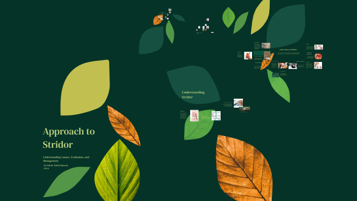 Approach to Stridor by Sidrah AH on Prezi