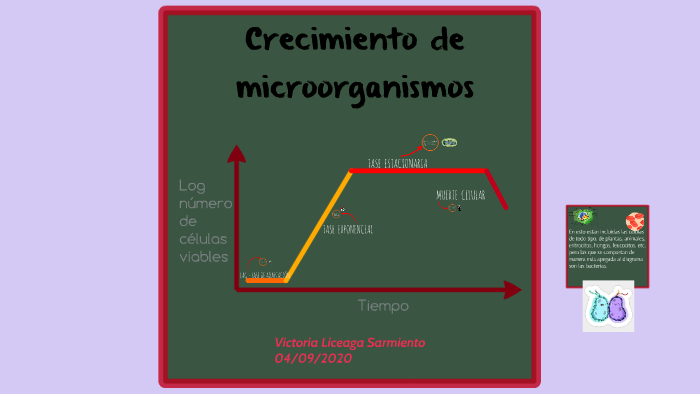 Crecimiento de microorganismos by Victoria LS on Prezi