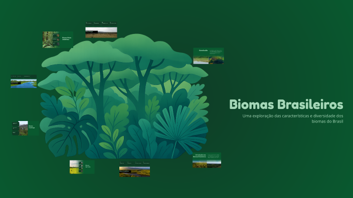 Biomas Brasileiros by Elievelto Edimar da Silva on Prezi