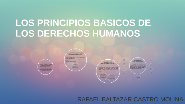 LOS PRINCIPIOS BASICOS DE LOS DERECHOS HUMANOS By Rafael Baltazar ...