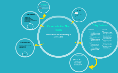 Characterization Of Daisy And Tom Buchanan Using The Acronym By