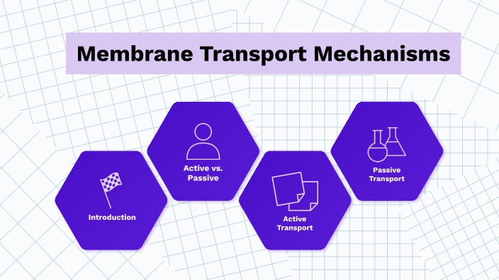 Active vs. Passive Transport by Mallory Cavanaugh