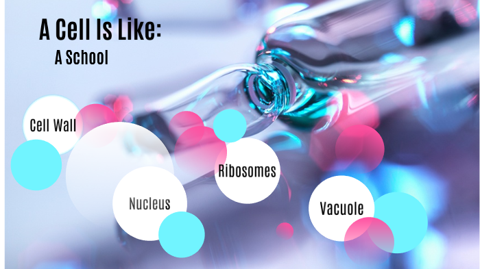 Cell Anatomy by TMS2020 Catherine H on Prezi
