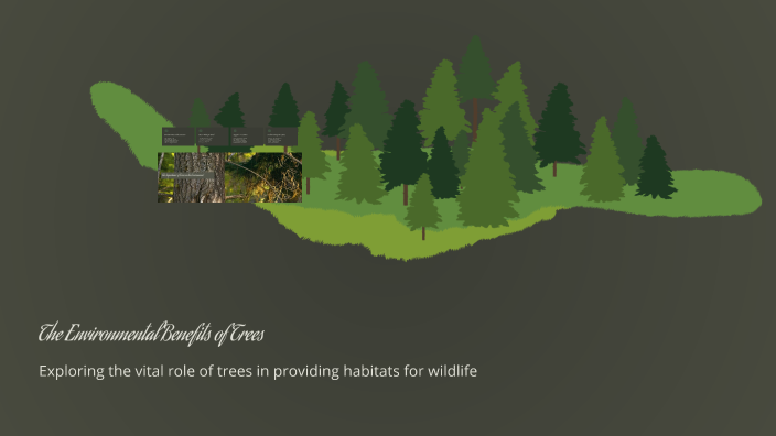 The Environmental Benefits of Trees by Zac Noramdn on Prezi