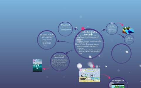 The Carbon Cycle Overview by on Prezi