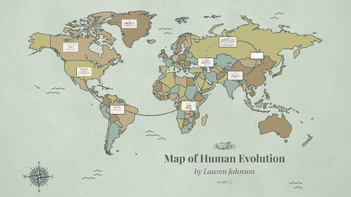 Evolution Map Model Map of Human Evolution by Lauren Johnson on Prezi