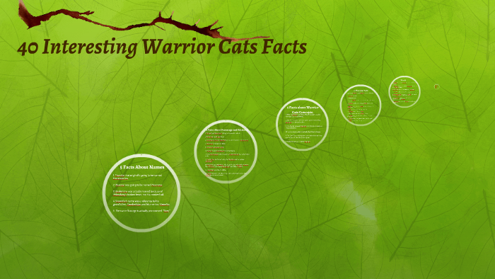 Interesting facts about warrior cats!