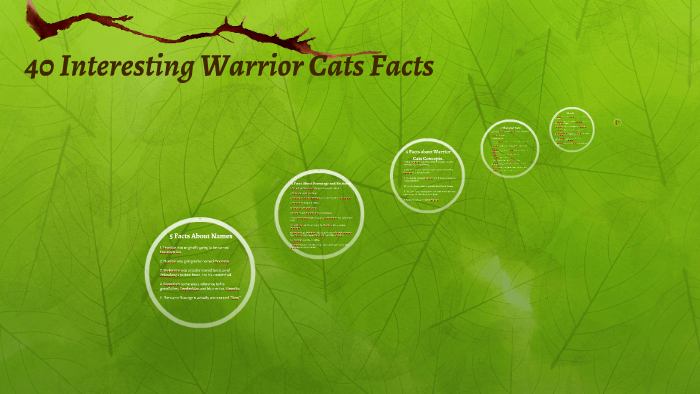 Warrior Cats Facts! 