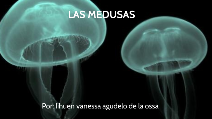 Las medusas by L V