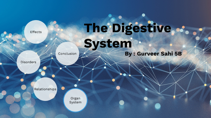 The Digestive System by g s on Prezi