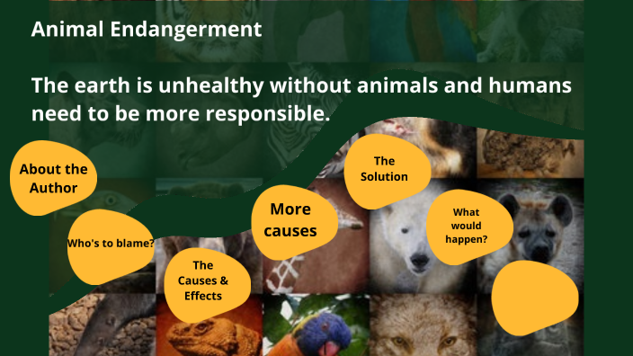 Animal Endangerment by GABRIELLA STEINES on Prezi