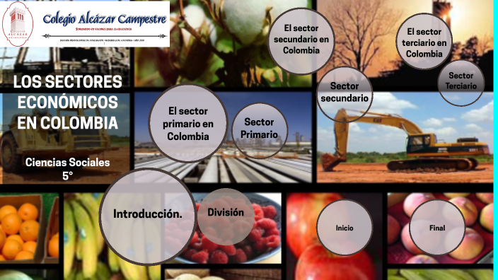 Los Sectores EconÓmicos En Colombia By Lina Rios On Prezi