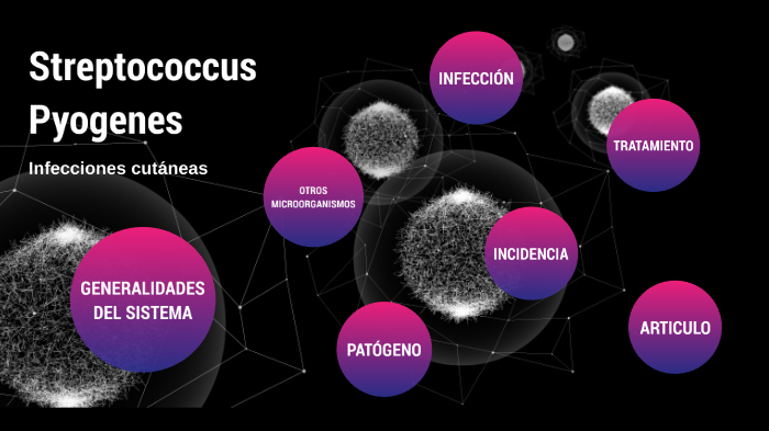 Streptococcus Pyogenes by Streptococcus Pyogenes