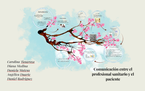 Comunicacion Entre El Profesional Sanitario Y El Paciente By Maria ...