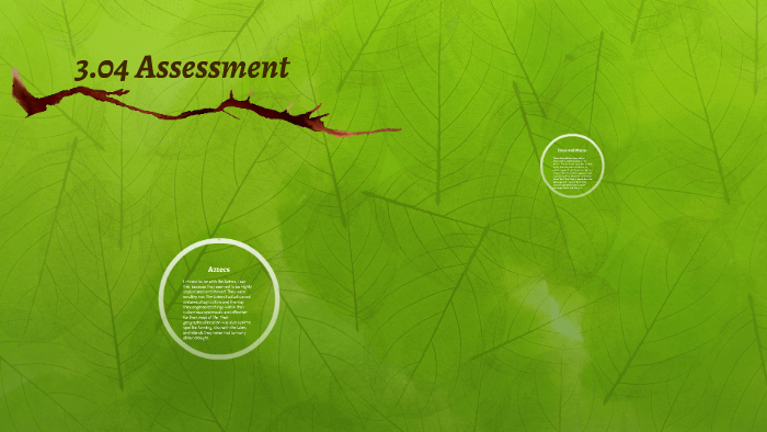3.04 Assessment by Cassie Gilcher-Petrasek on Prezi