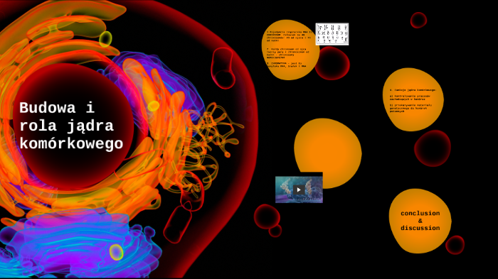 Budowa i rola jądra komórkowego by Joanna Kalota on Prezi