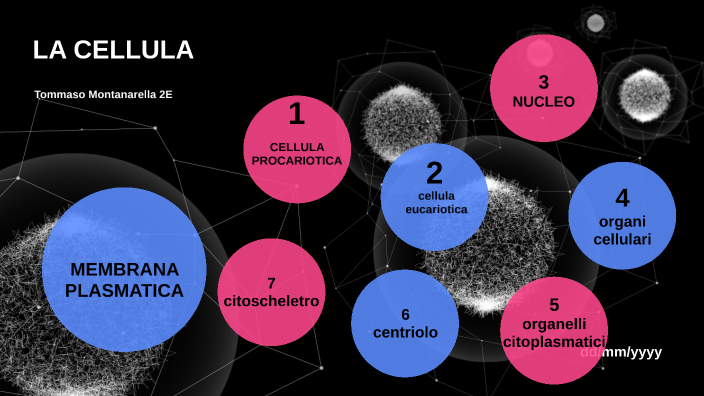 1 Cellula eucariotica animale by Tommaso Montanarella on Prezi