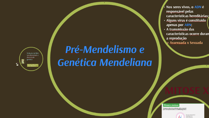 Pré-Mendelismo E Genética Mendeliana By Pablo Cabalero On Prezi