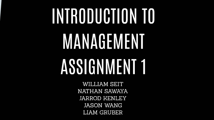 assignment on introduction to management