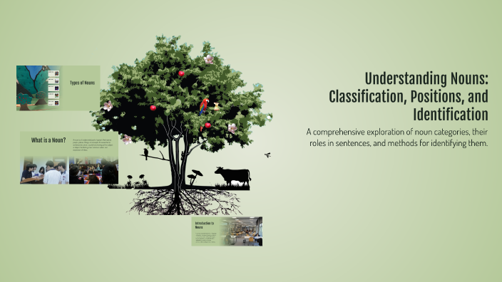Understanding Nouns: Classification, Positions, and Identification by ...