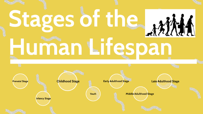 Stages of the Human Lifespan by Jasmine Karitsis