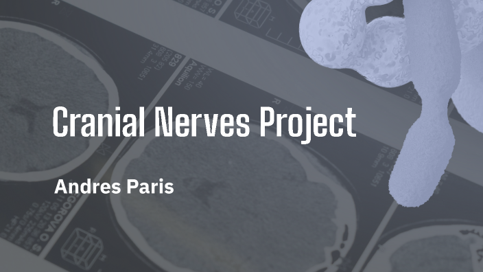 Cranial Nerves Project by Andres Paris _ Student - ApexFriendsh on Prezi