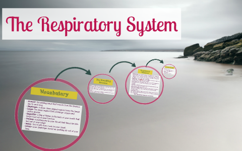 How Tobacco affects the Respiratory system by Jorge Acevedo on Prezi