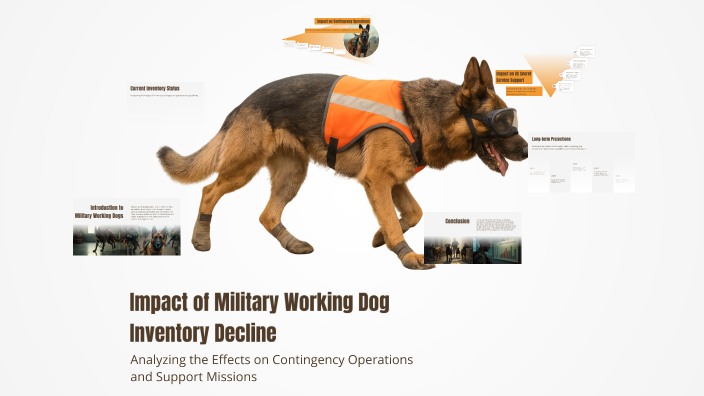 War Dogs Inventory Screen Impact of Military Working Dog Inventory Decline by Melia Goodman on Prezi