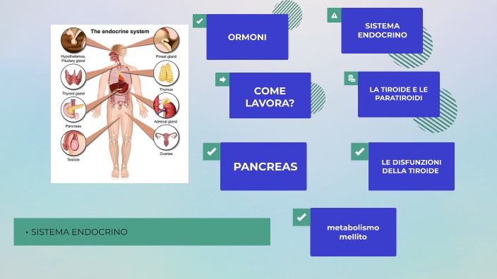 Sistema Endocrino By Alessio Di Tria On Prezi 0182