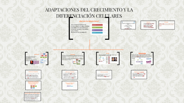 Adaptaciones Del Crecimiento Y La Diferenciación Celulares By Bibiana Guevara On Prezi 0643