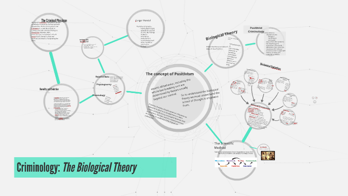 biopsychosocial-model-examples-overview-criticisms-2023