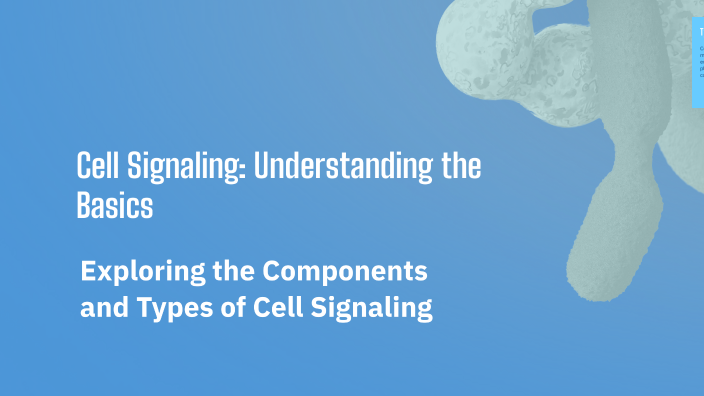 Cell Signaling: Understanding the Basics by Morgan Ragusa on Prezi