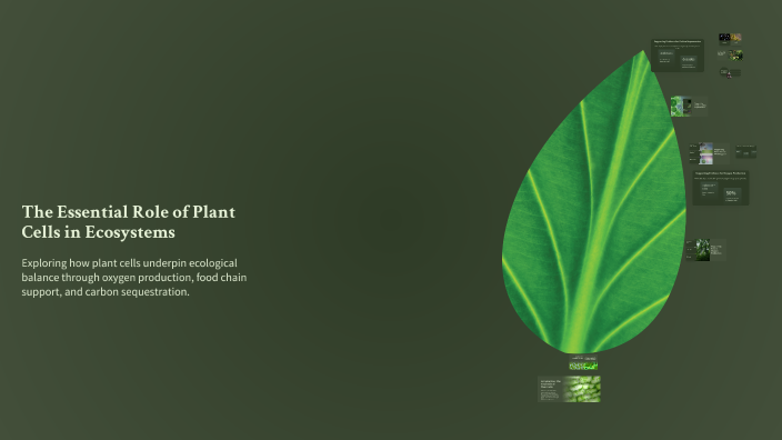 The Essential Role of Plant Cells in Ecosystems by Nobody on Prezi