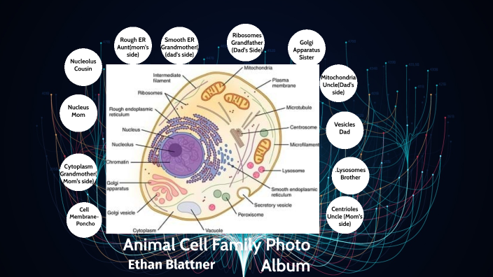 ethan-blattner-animal-cell-family-photo-album-by-ethan-blattner