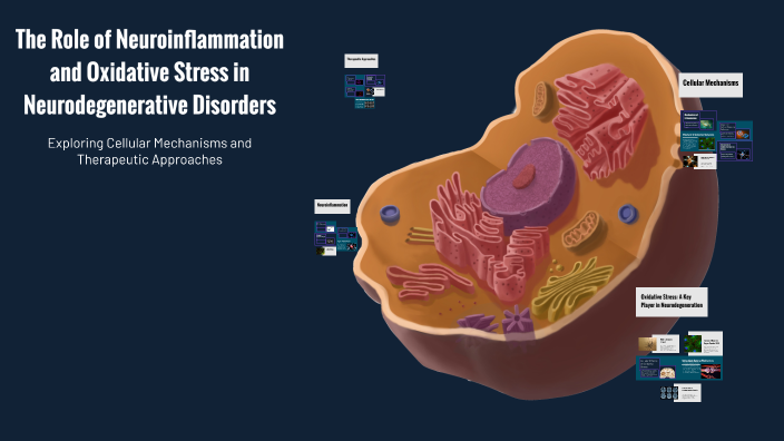 The Role of Neuroinflammation and Oxidative Stress in Neurodegenerative ...