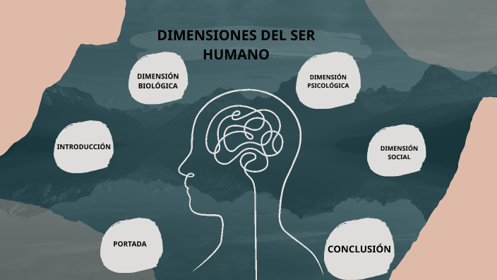 Evidencia De Aprendizaje Relación E Interacción De La Dimensión