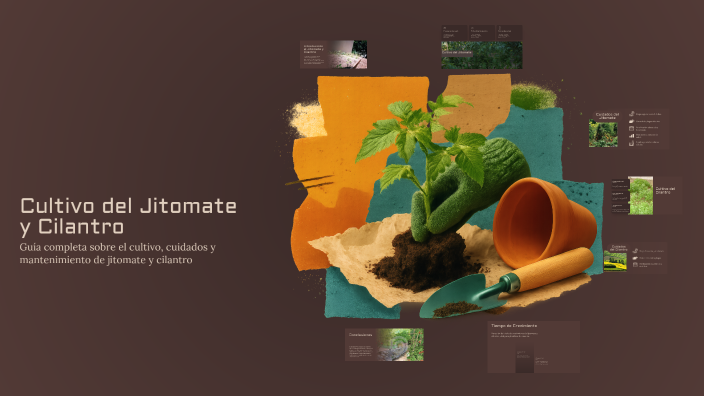 Cultivo del Jitomate y Cilantro by OSCARIN VASQUEZ on Prezi
