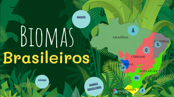 BIOMAS BRASILEIROS by CARLOS HENRIQUE MENDONÇA on Prezi